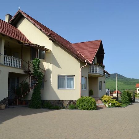 Hotel Margareta Vendeghaz Lupeni  Zewnętrze zdjęcie