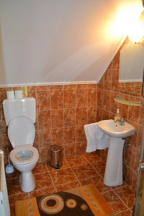 Hotel Margareta Vendeghaz Lupeni  Zewnętrze zdjęcie