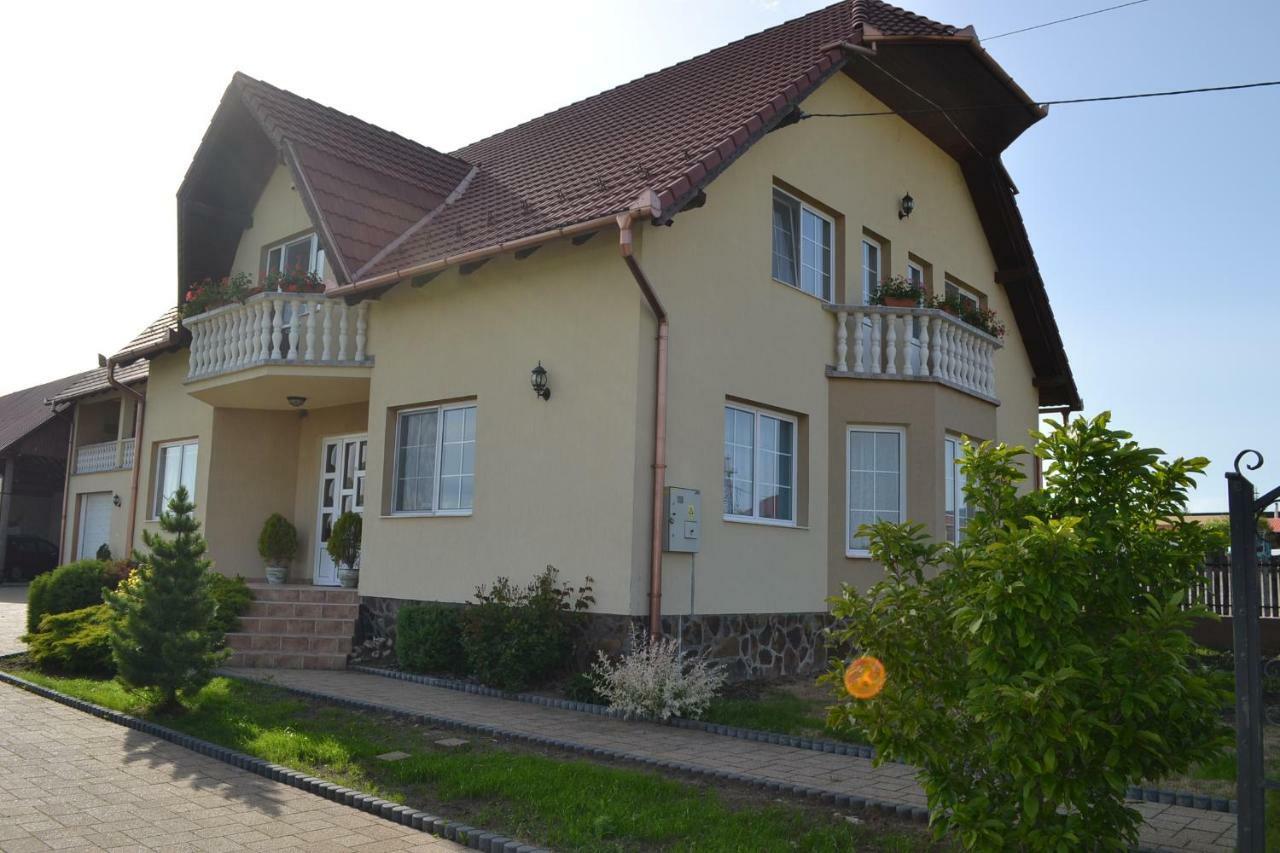 Hotel Margareta Vendeghaz Lupeni  Zewnętrze zdjęcie