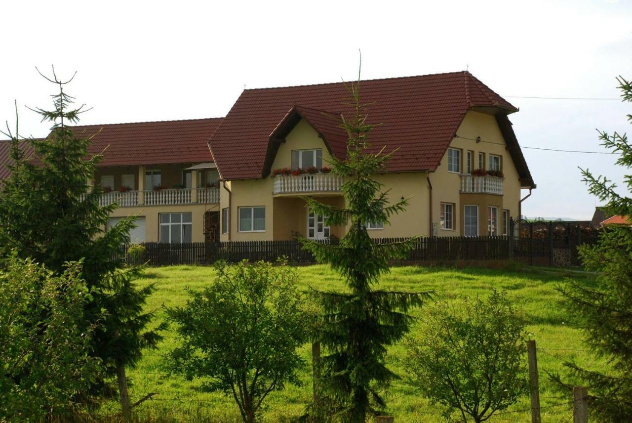Hotel Margareta Vendeghaz Lupeni  Zewnętrze zdjęcie