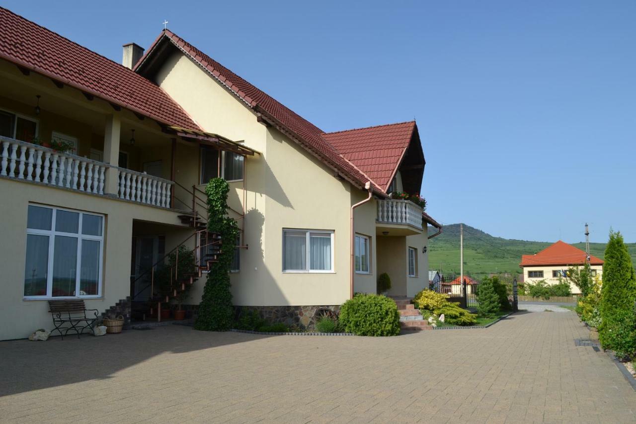 Hotel Margareta Vendeghaz Lupeni  Zewnętrze zdjęcie